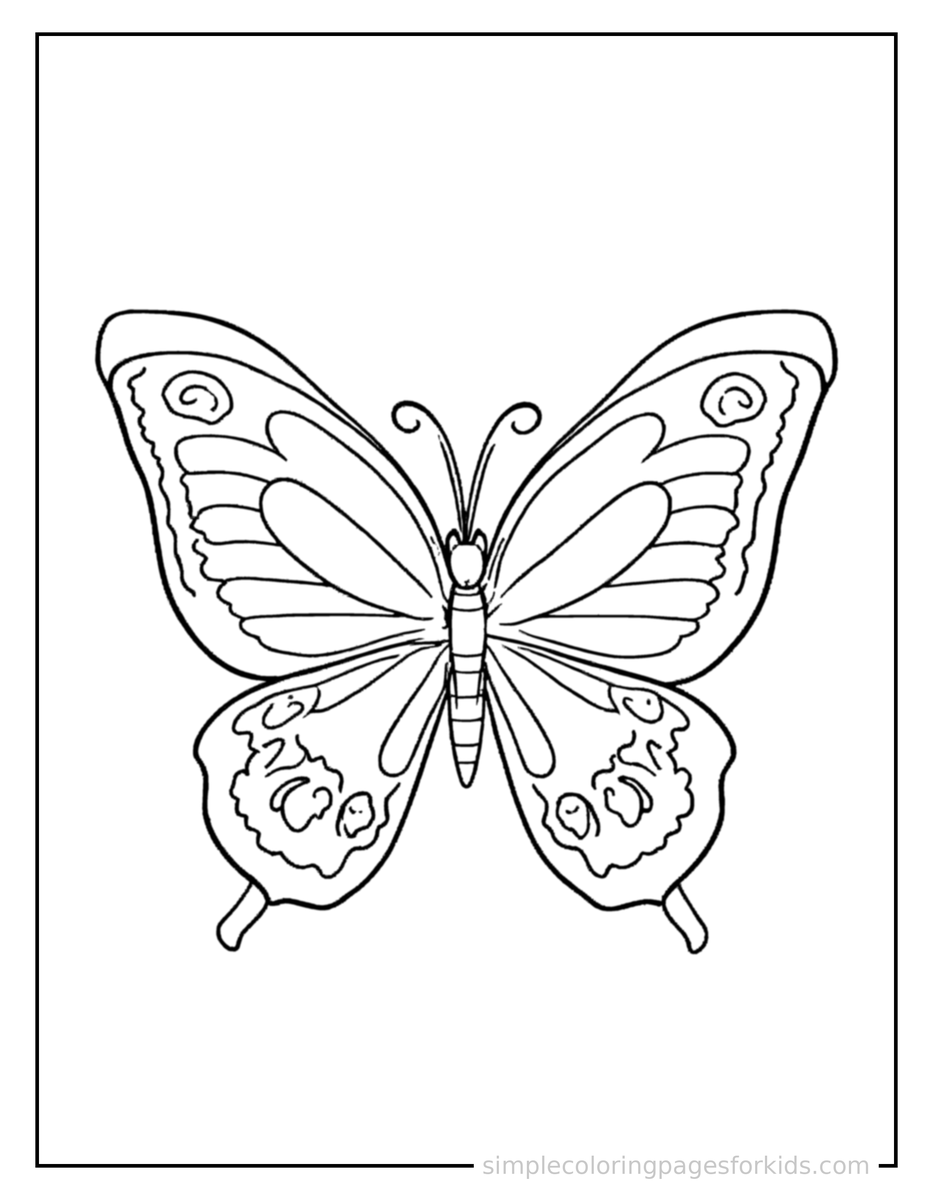 Coloring Scene 4 Butterfly Life Cycle Diagram Coloring Page