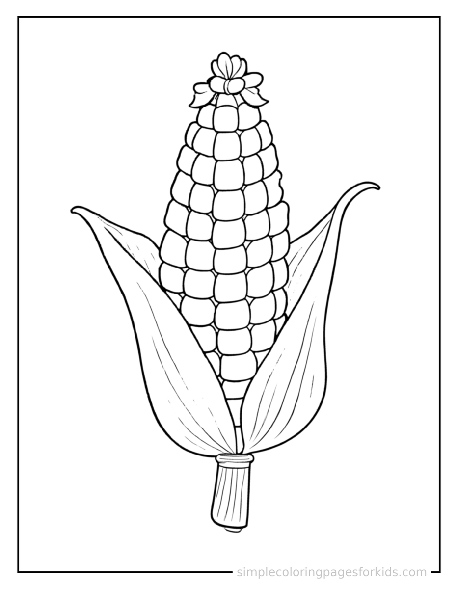 Coloring Scene 4 Corn On The Cob Coloring Page