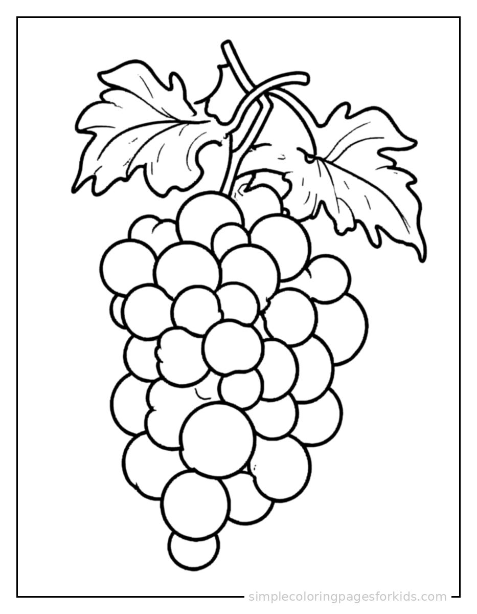 Printable fruits coloring page for kids