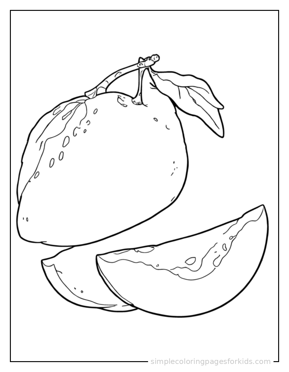 Printable fruits coloring page for kids