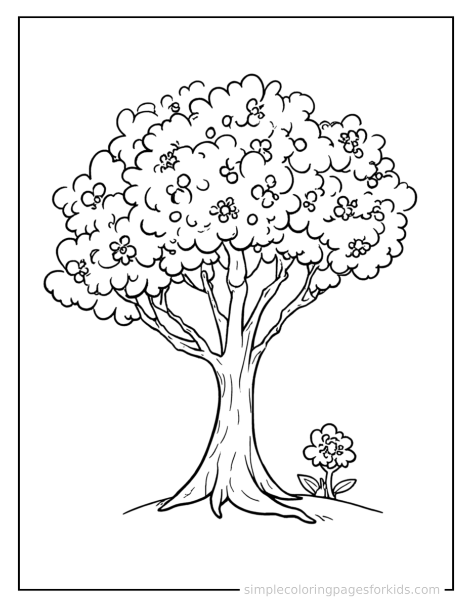Blooming Cherry Blossom Tree Coloring Page