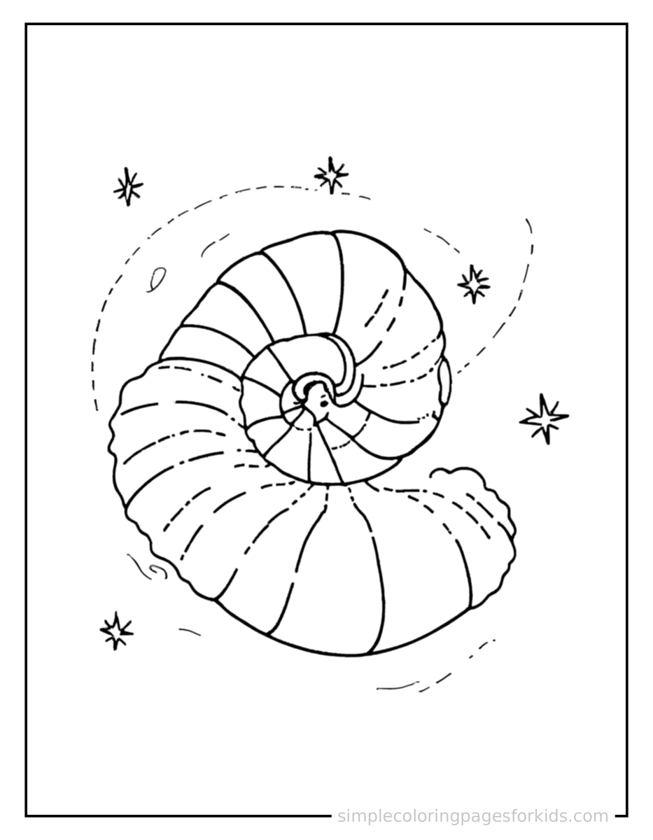 Sparkling Spiral Seashell Coloring Page