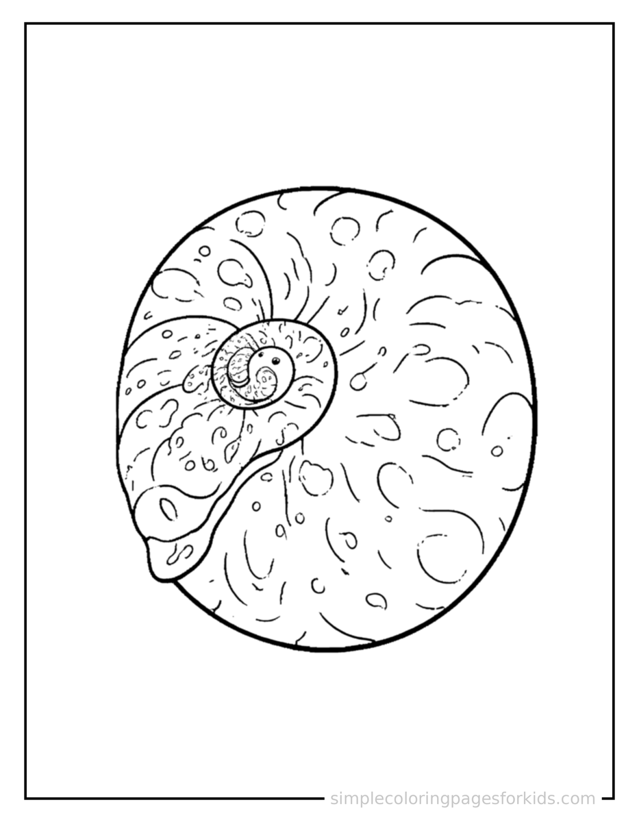 Coloring Scene 3 Spiral Seashell Coloring Page