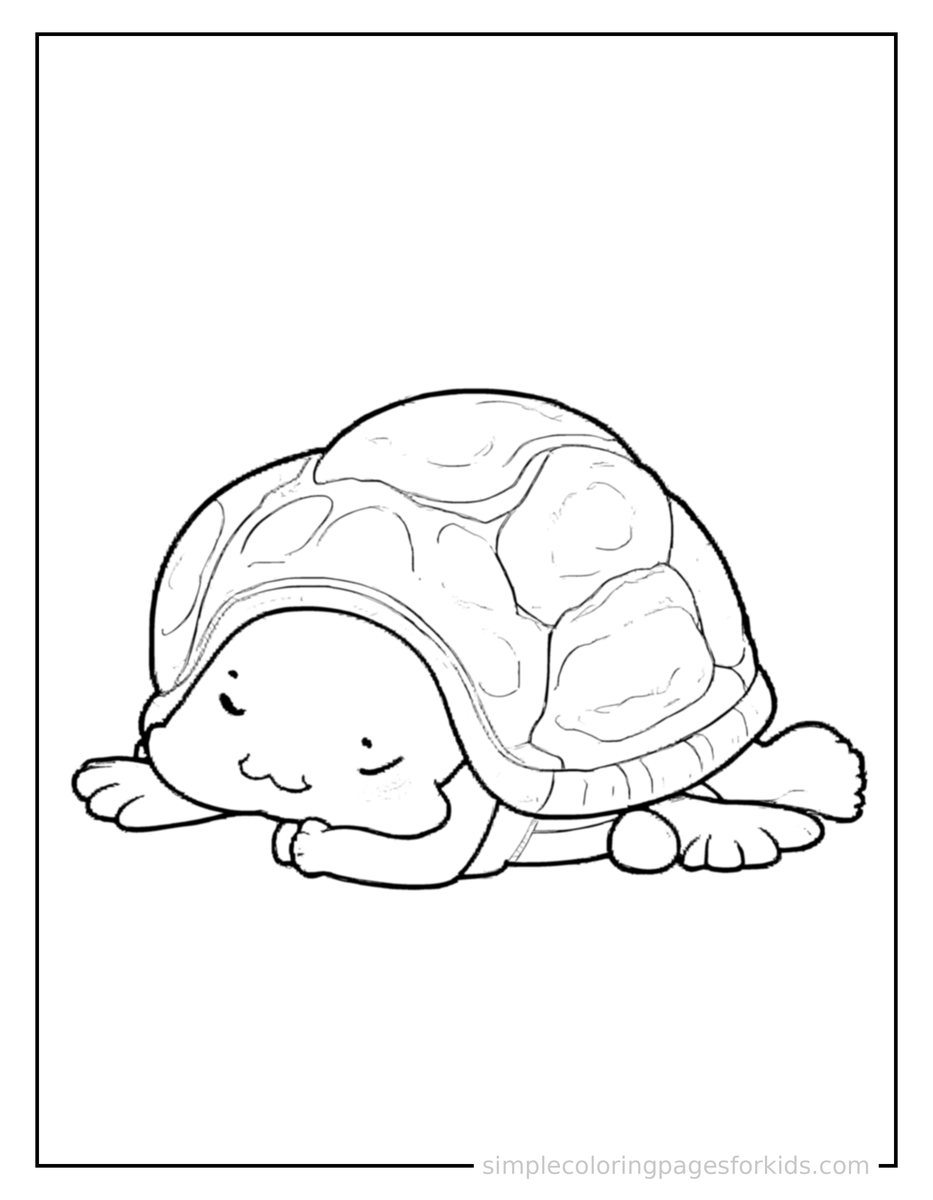 Sleepy Turtle Coloring Page